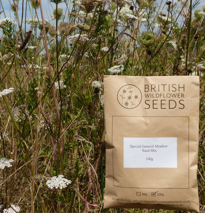 A Quick Introduction to Wildflower Seed Mixes