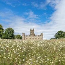 Load image into Gallery viewer, Highclere Castle meadow